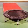 Trampolino D97 cm., zona salto in pvc fissata con elastici.