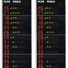 Pair of statistics panels (side displays) for 14 player per team showing the player number (from 0 to 99 programmable) and  fouls/penalties (4 indicator lights + 1 red) 
